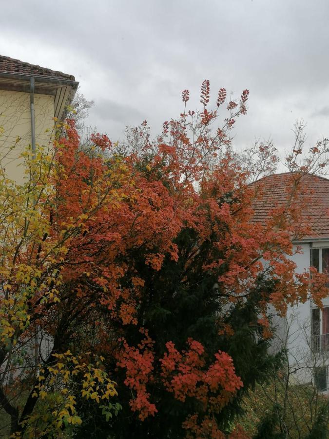 Gaestehaus Goethe-Institut Schwäbisch Hall المظهر الخارجي الصورة
